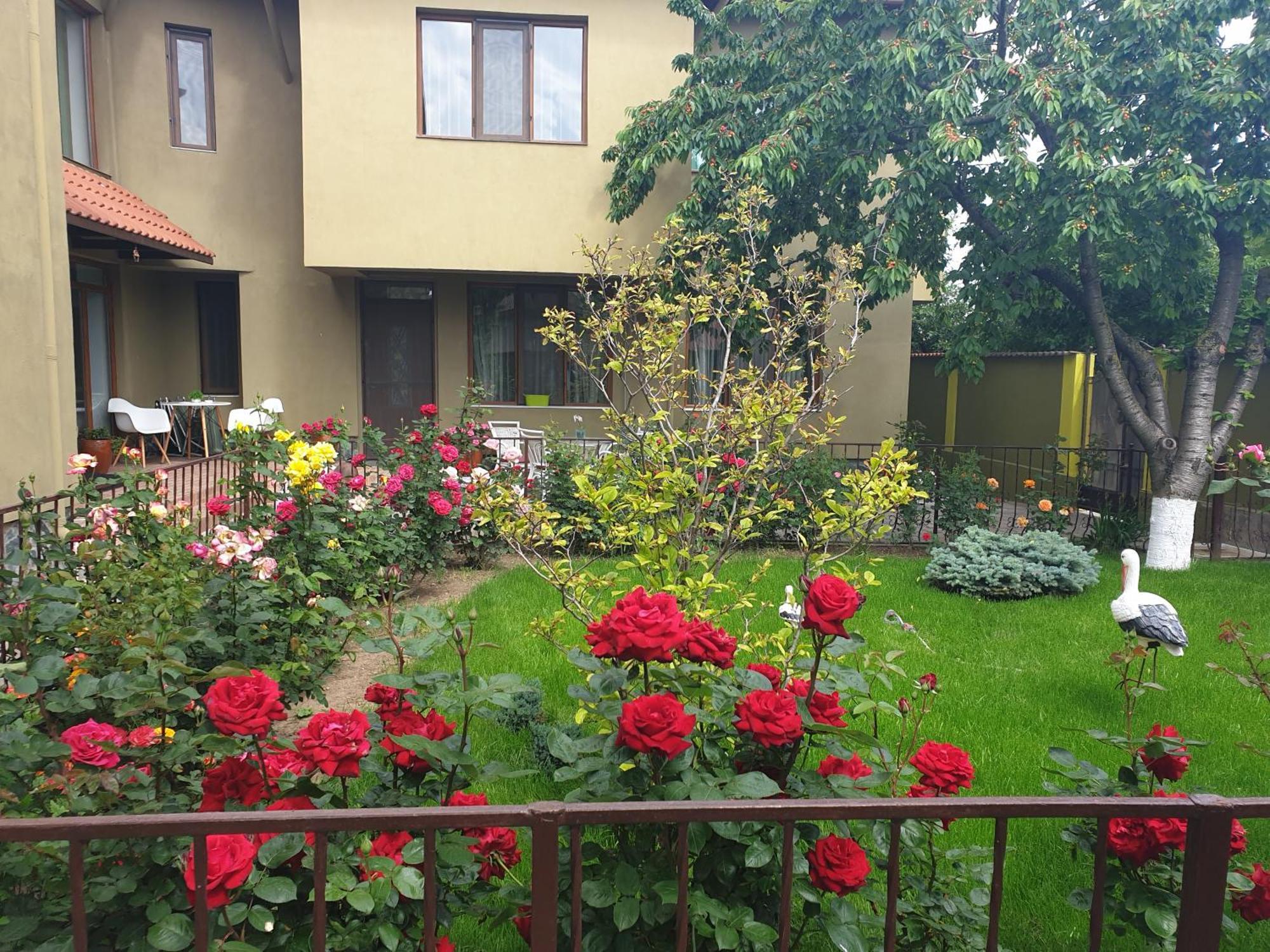 Villa Mugur Două Mai Exterior foto