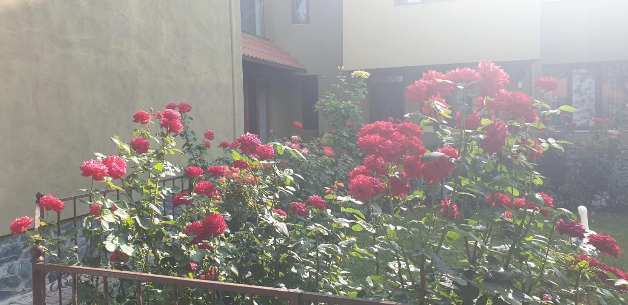 Villa Mugur Două Mai Exterior foto